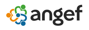 ANGEF — Anadolu Gençlik Federasyonu